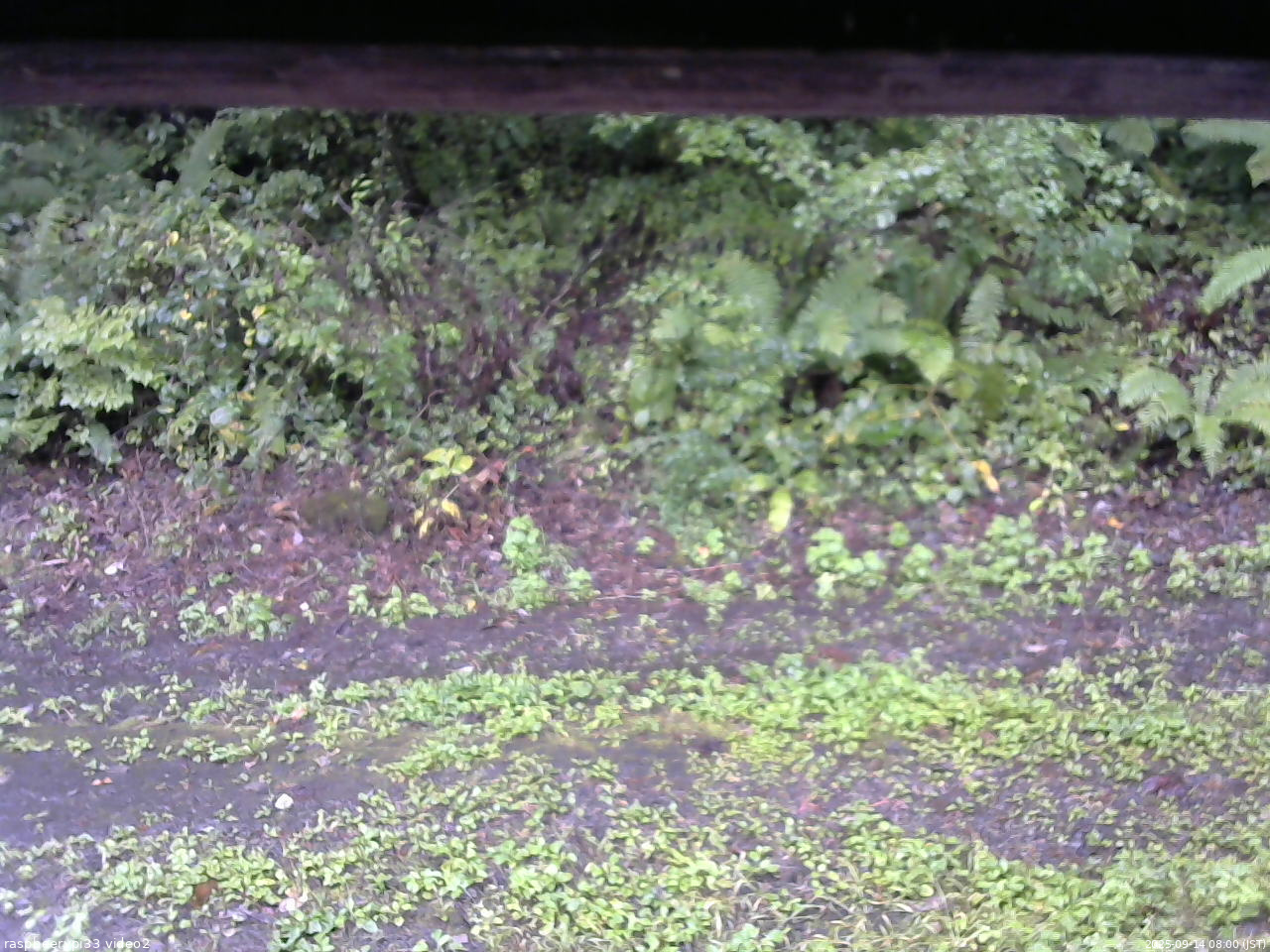 長野県菅平高原 ゆたか山荘 南側 2025/09/14 08:00