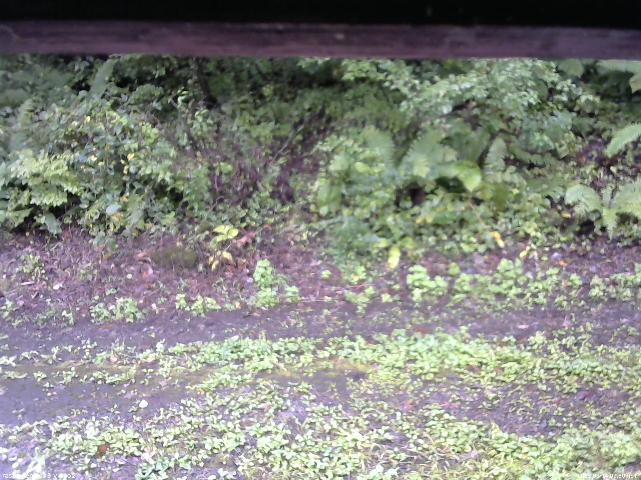 長野県菅平高原 ゆたか山荘 南側 2025/09/14 09:30