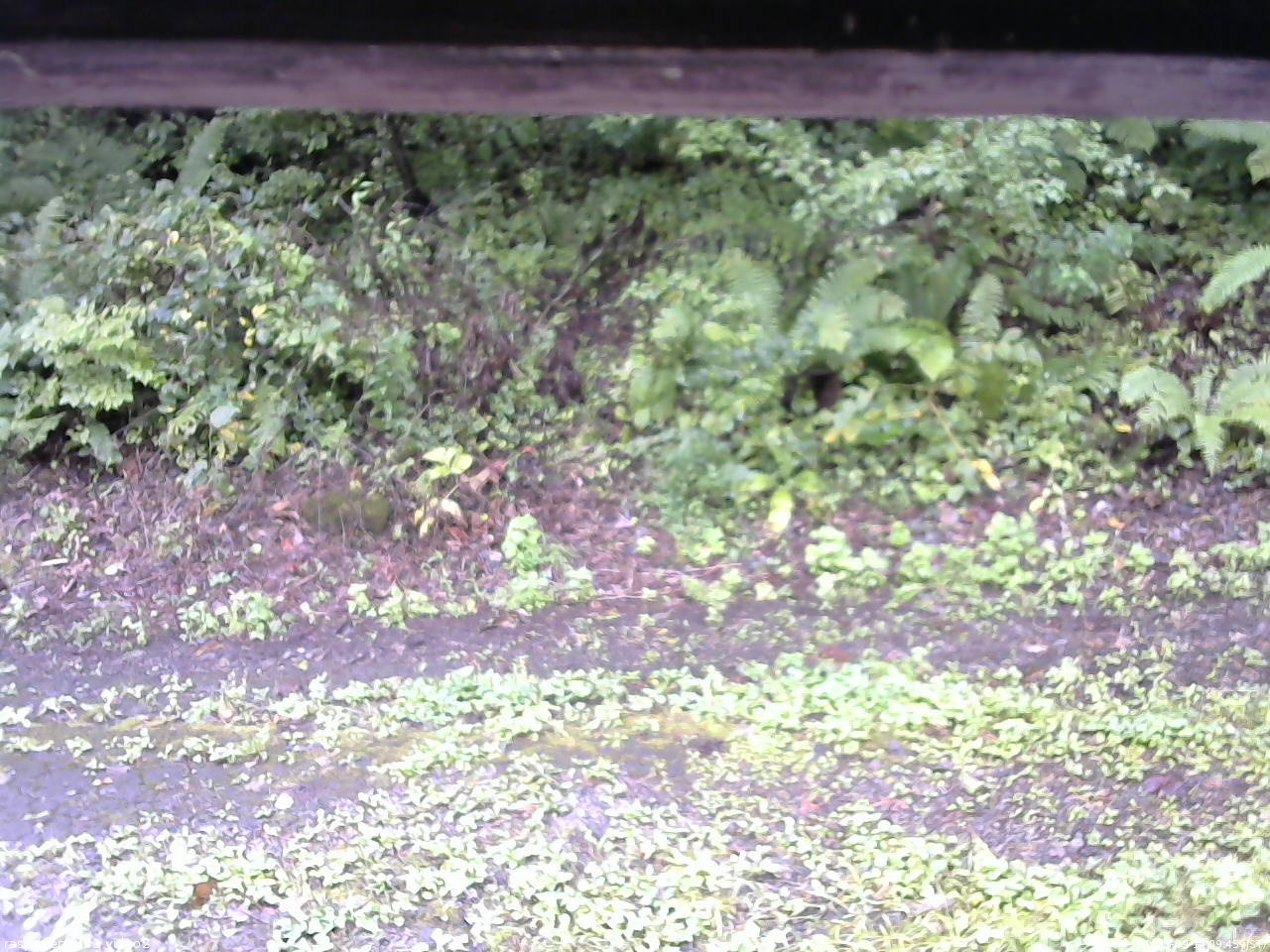 長野県菅平高原 ゆたか山荘 南側 2025/09/14 09:45
