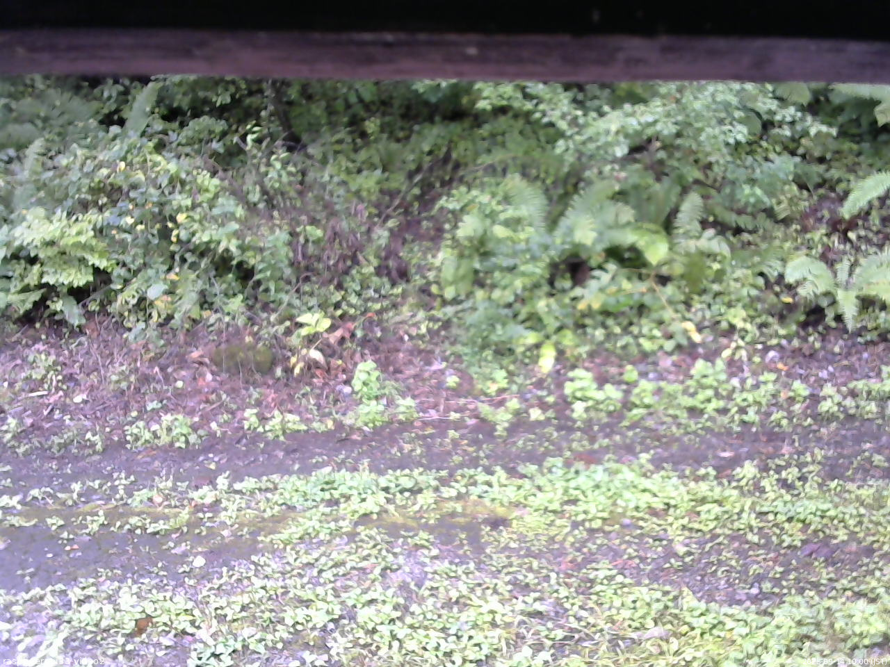 長野県菅平高原 ゆたか山荘 南側 2025/09/14 10:00