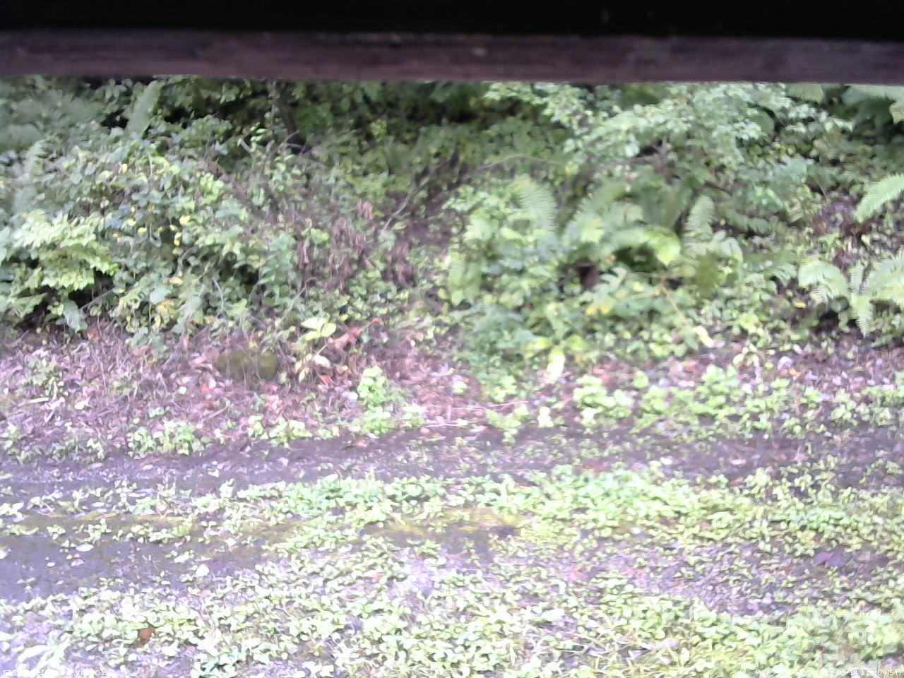 長野県菅平高原 ゆたか山荘 南側 2025/09/14 11:00