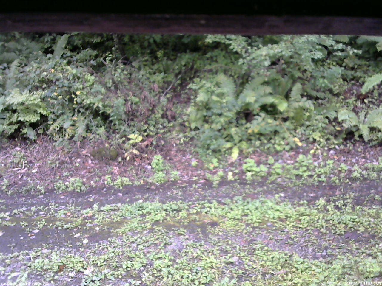 長野県菅平高原 ゆたか山荘 南側 2025/09/14 11:45
