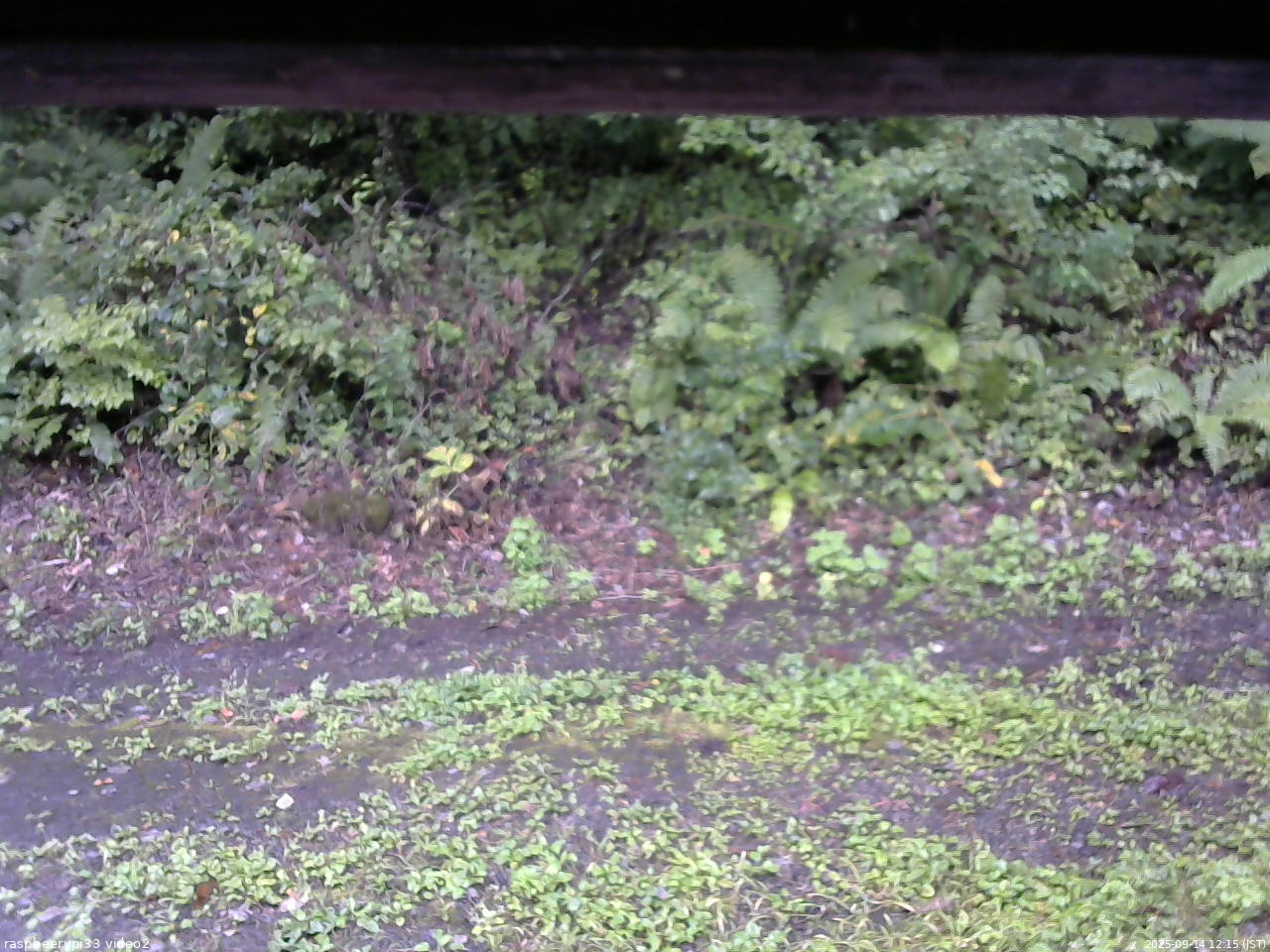 長野県菅平高原 ゆたか山荘 南側 2025/09/14 12:15
