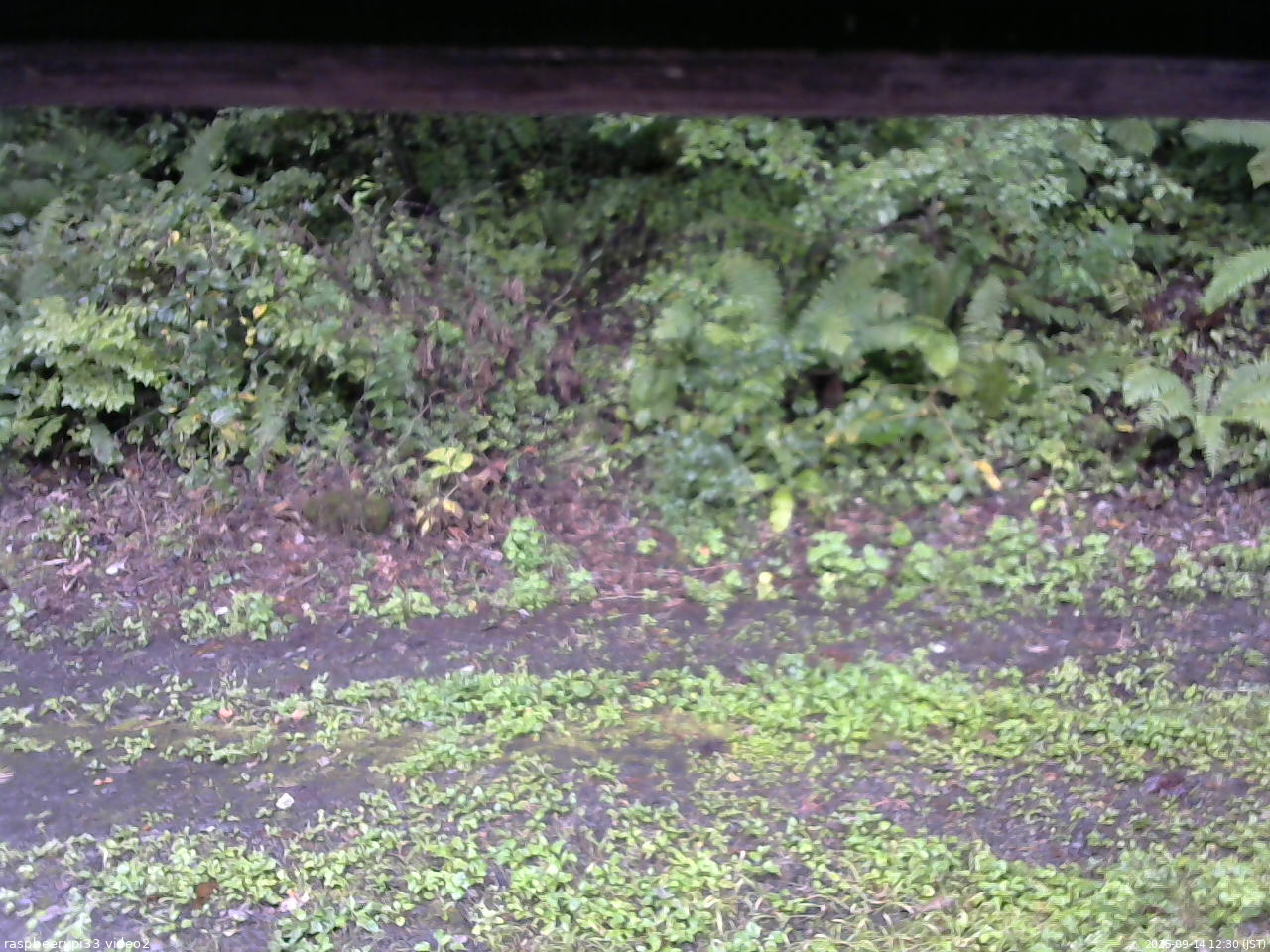 長野県菅平高原 ゆたか山荘 南側 2025/09/14 12:30