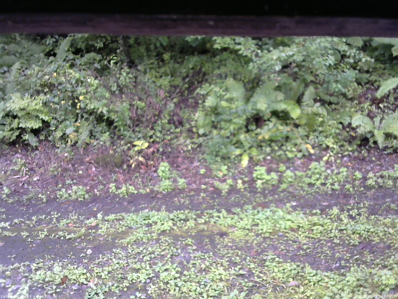 長野県菅平高原 ゆたか山荘 南側 2025/09/14 14:00
