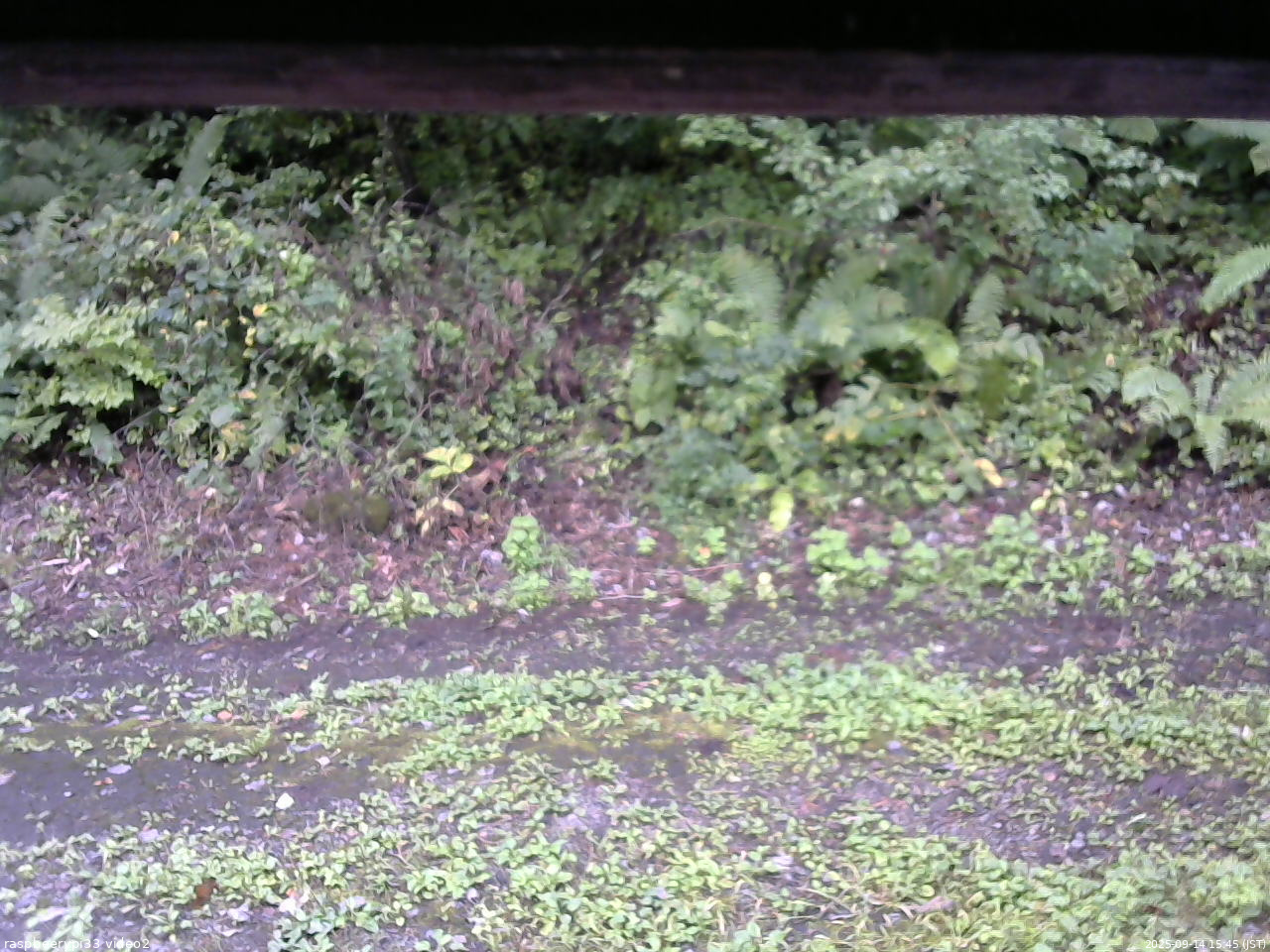 長野県菅平高原 ゆたか山荘 南側 2025/09/14 15:45