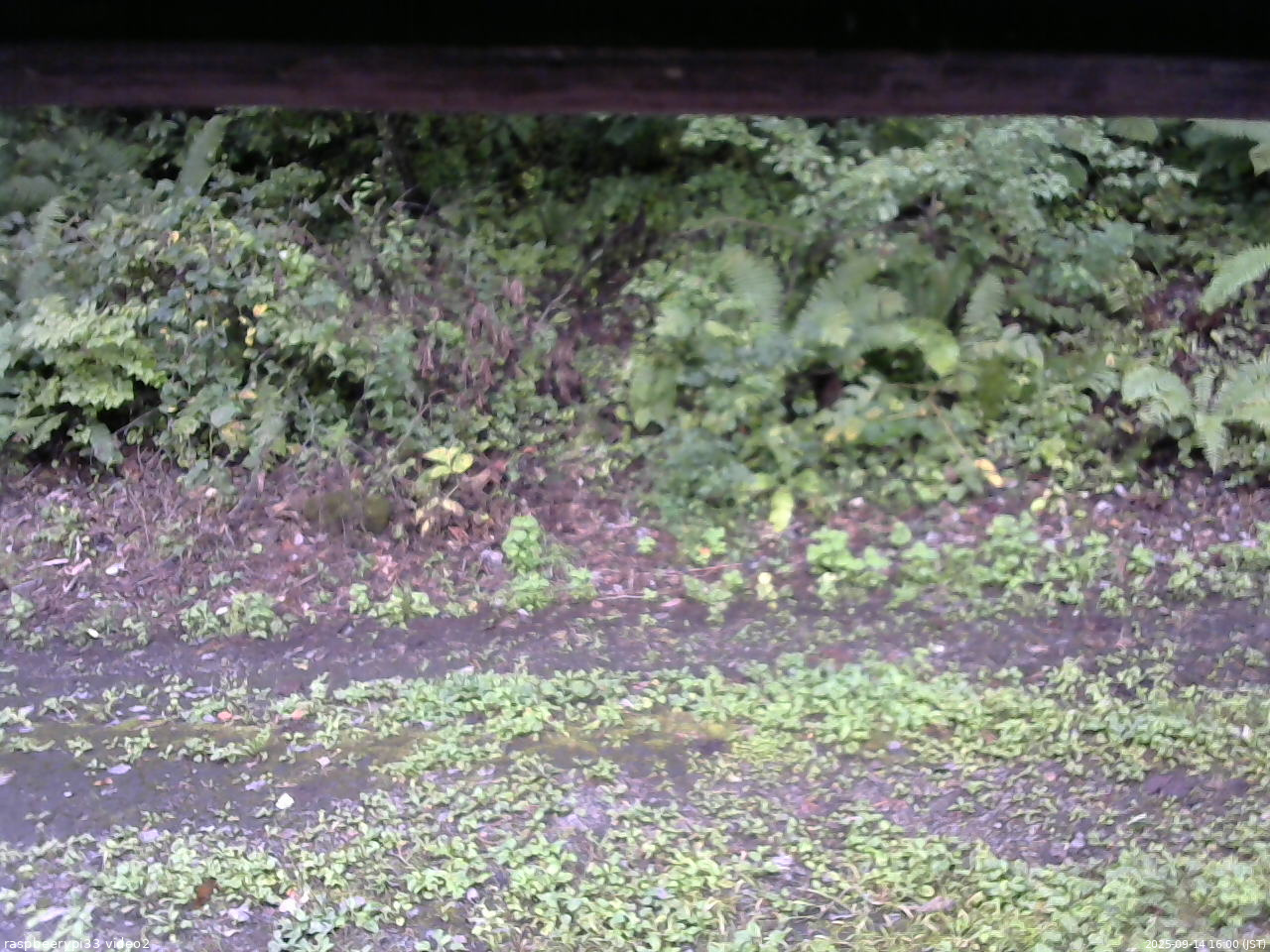 長野県菅平高原 ゆたか山荘 南側 2025/09/14 16:00
