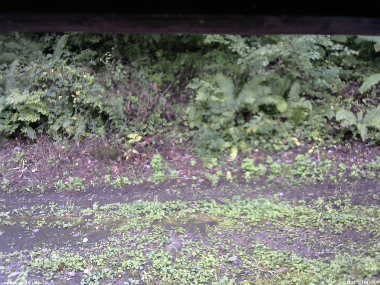 長野県菅平高原 ゆたか山荘 南側 2025/09/14 16:30