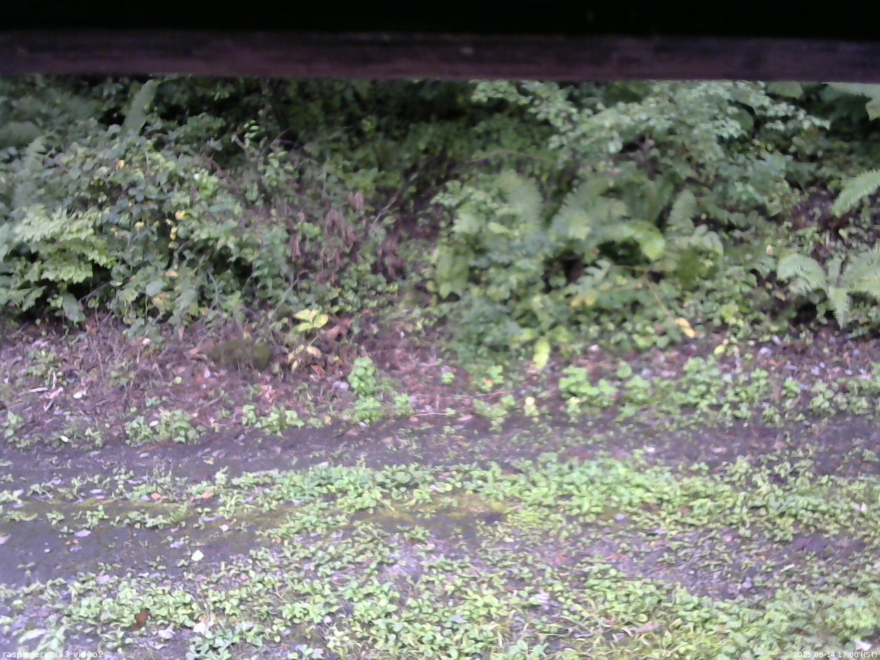 長野県菅平高原 ゆたか山荘 南側 2025/09/14 17:00