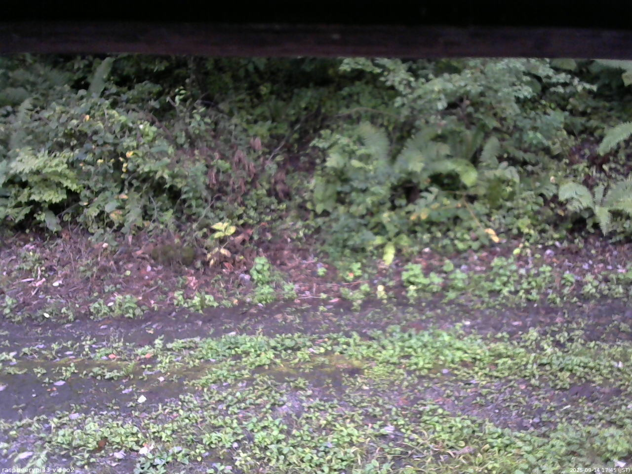 長野県菅平高原 ゆたか山荘 南側 2025/09/14 17:45