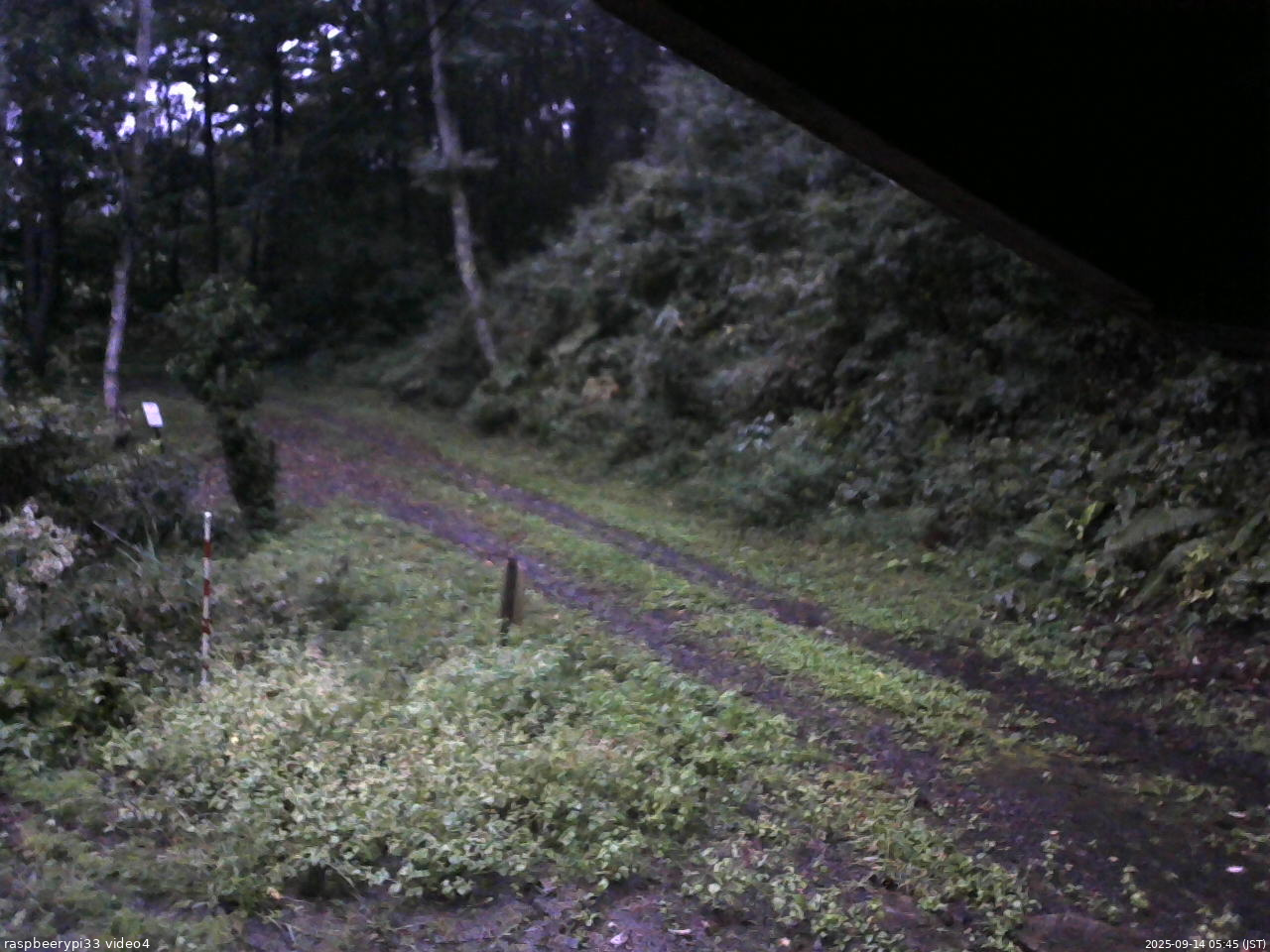 長野県菅平高原 ゆたか山荘 東側(坂下) 2025/09/14 05:45