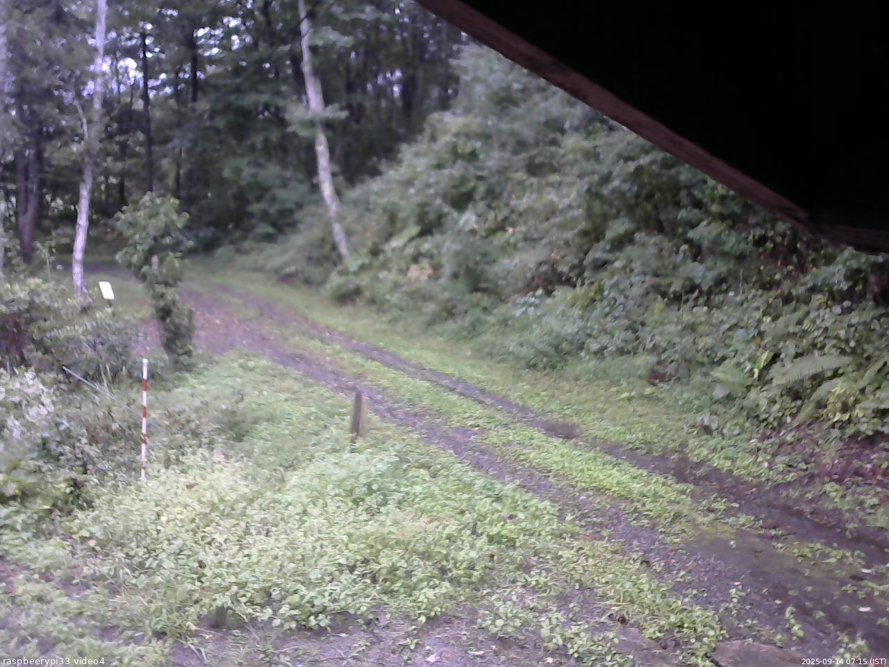 長野県菅平高原 ゆたか山荘 東側(坂下) 2025/09/14 07:15