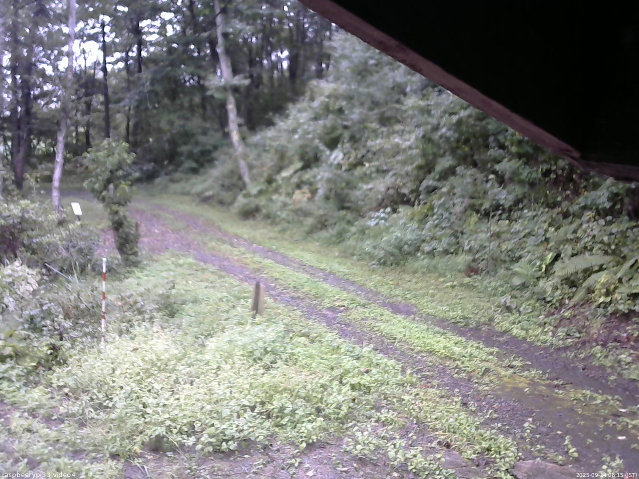 長野県菅平高原 ゆたか山荘 東側(坂下) 2025/09/14 08:15