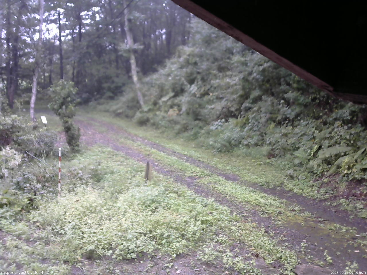 長野県菅平高原 ゆたか山荘 東側(坂下) 2025/09/14 09:15