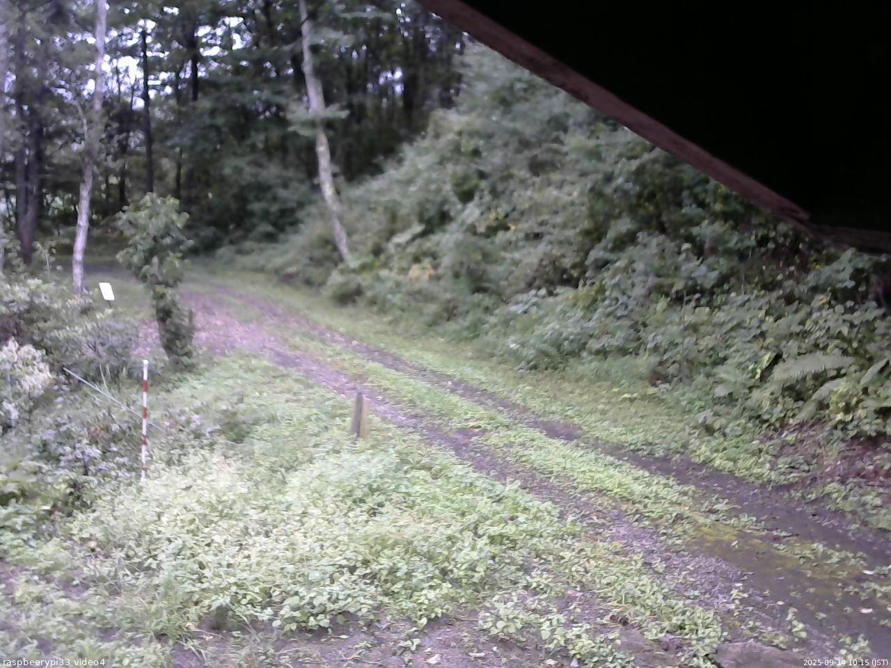 長野県菅平高原 ゆたか山荘 東側(坂下) 2025/09/14 10:15