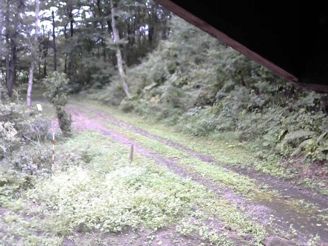 長野県菅平高原 ゆたか山荘 東側(坂下) 2025/09/14 11:30