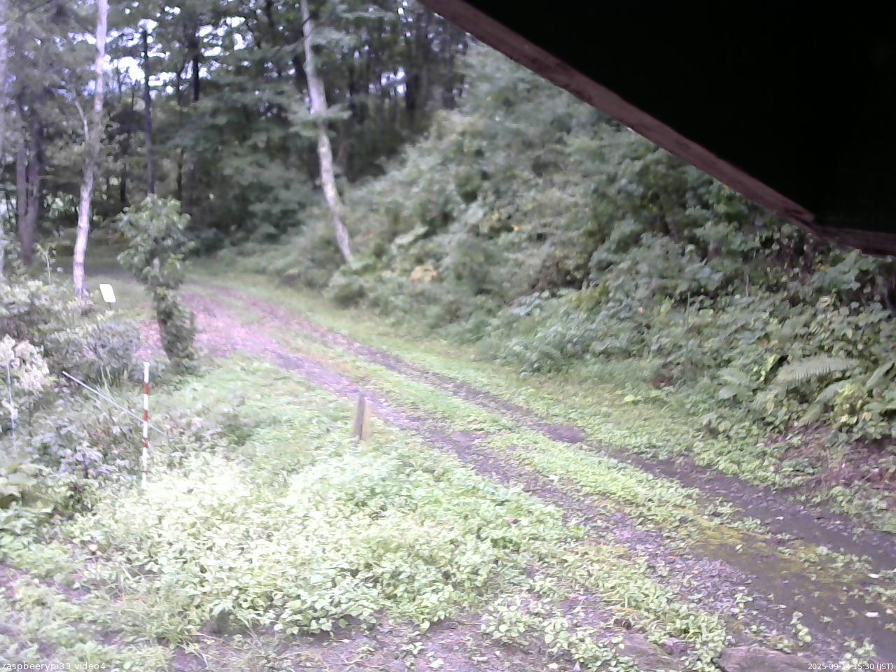 長野県菅平高原 ゆたか山荘 東側(坂下) 2025/09/14 15:30