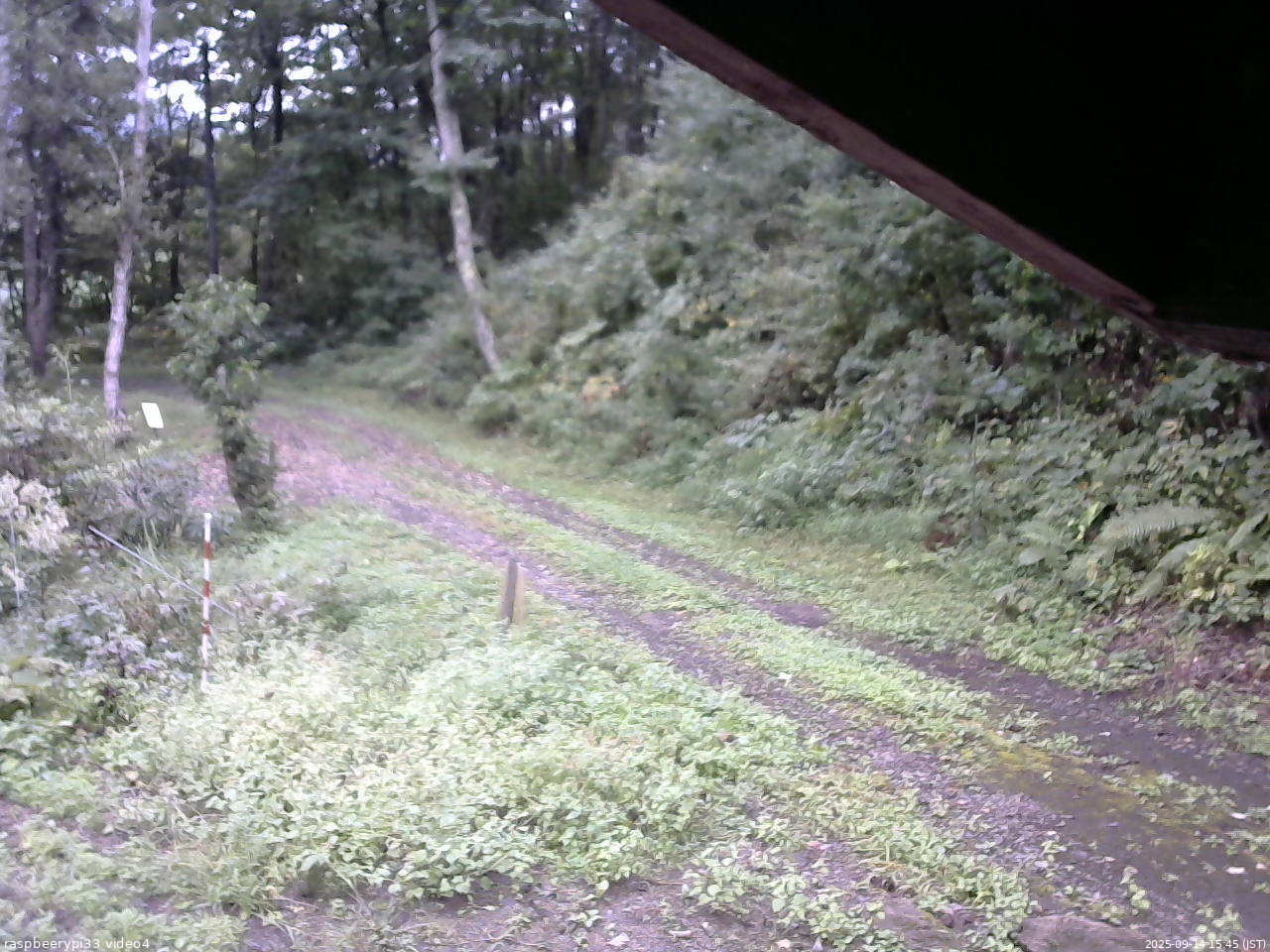 長野県菅平高原 ゆたか山荘 東側(坂下) 2025/09/14 15:45