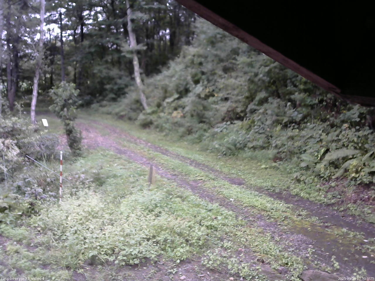 長野県菅平高原 ゆたか山荘 東側(坂下) 2025/09/14 17:30