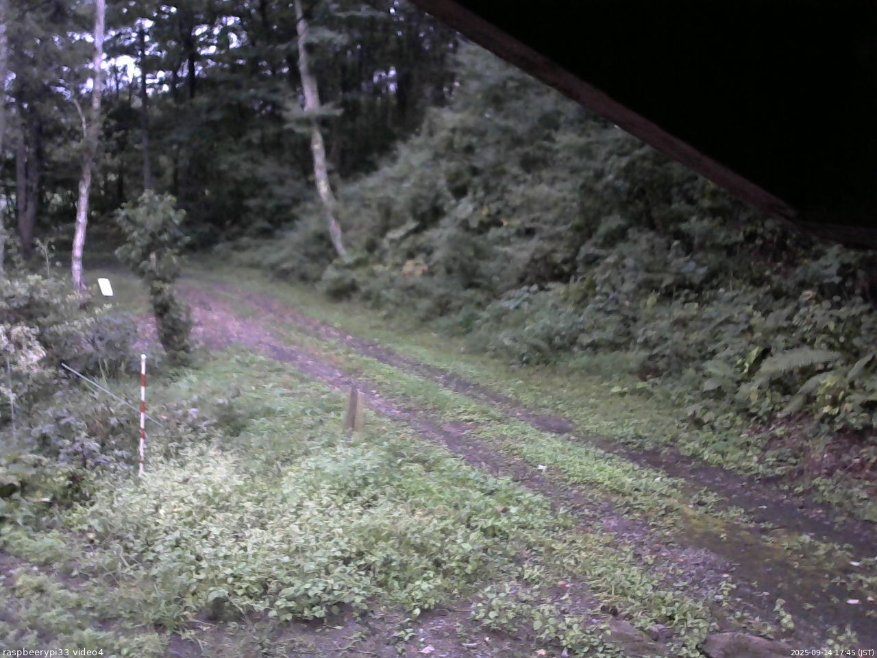 長野県菅平高原 ゆたか山荘 東側(坂下) 2025/09/14 17:45