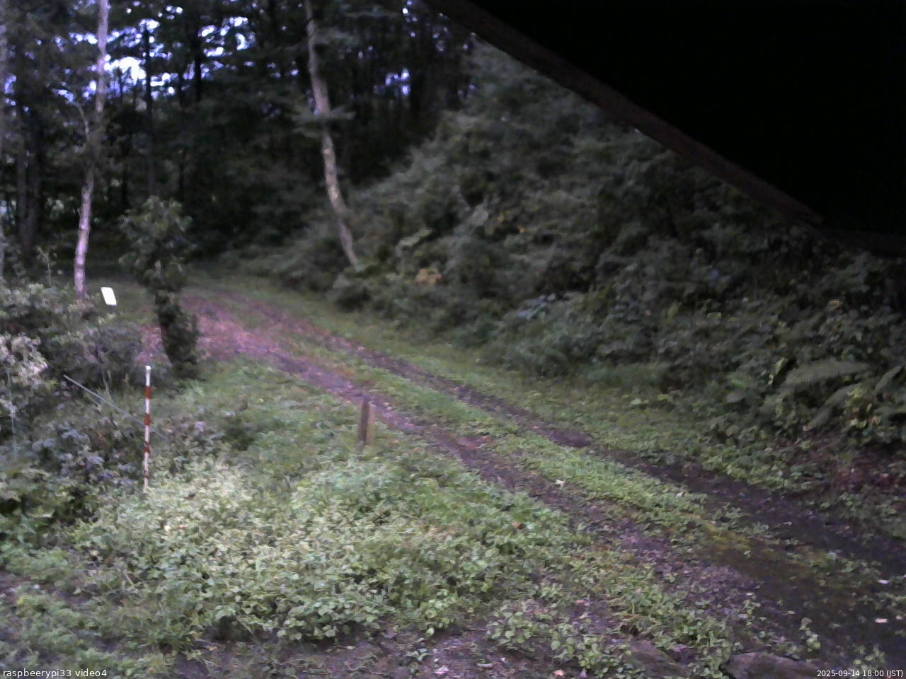 長野県菅平高原 ゆたか山荘 東側(坂下) 2025/09/14 18:00