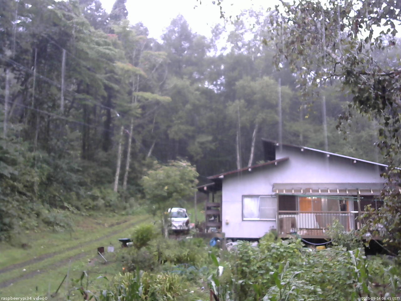 長野県菅平高原 ゆたか山荘 西側(坂上) 2025/09/14 06:45