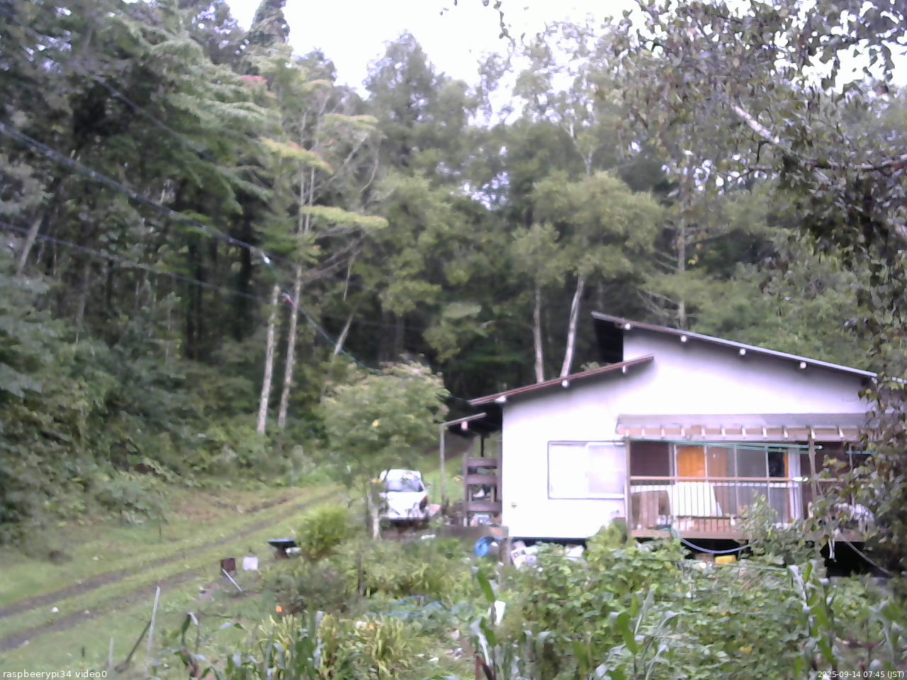 長野県菅平高原 ゆたか山荘 西側(坂上) 2025/09/14 07:45