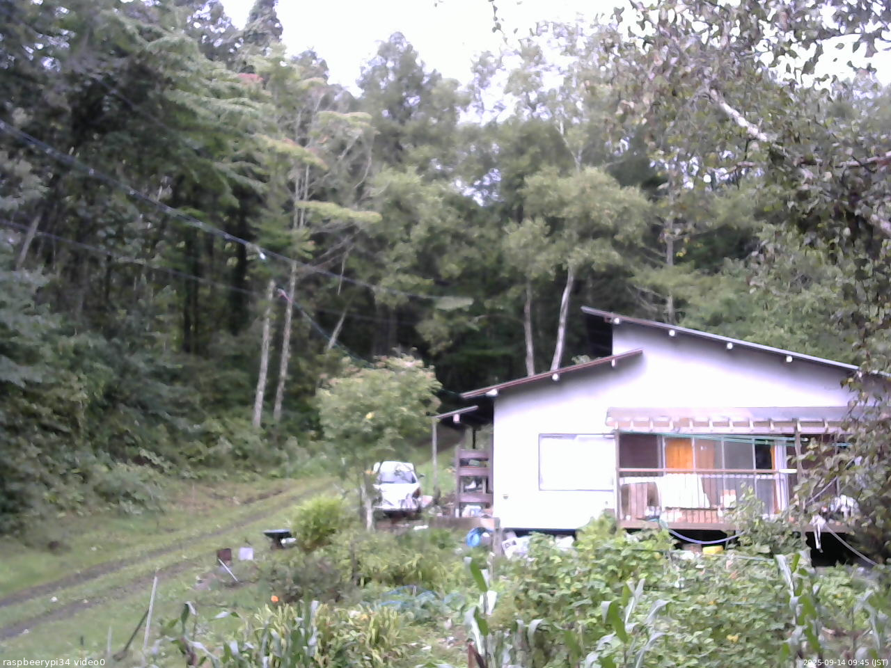 長野県菅平高原 ゆたか山荘 西側(坂上) 2025/09/14 09:45