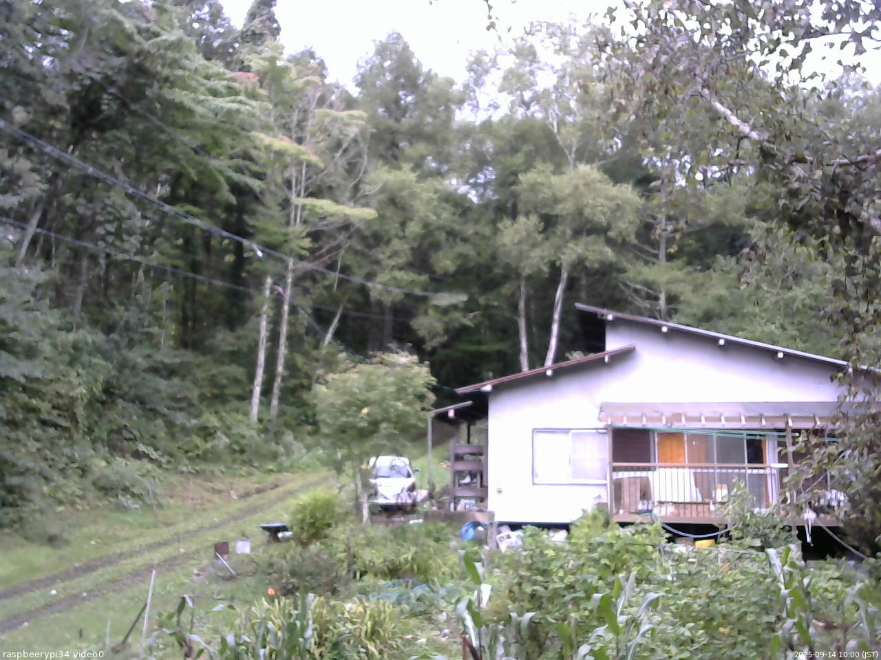 長野県菅平高原 ゆたか山荘 西側(坂上) 2025/09/14 10:00