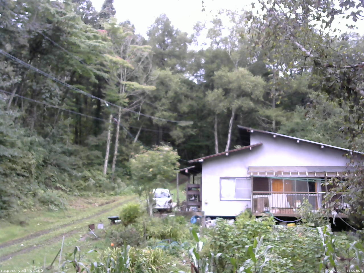 長野県菅平高原 ゆたか山荘 西側(坂上) 2025/09/14 11:00