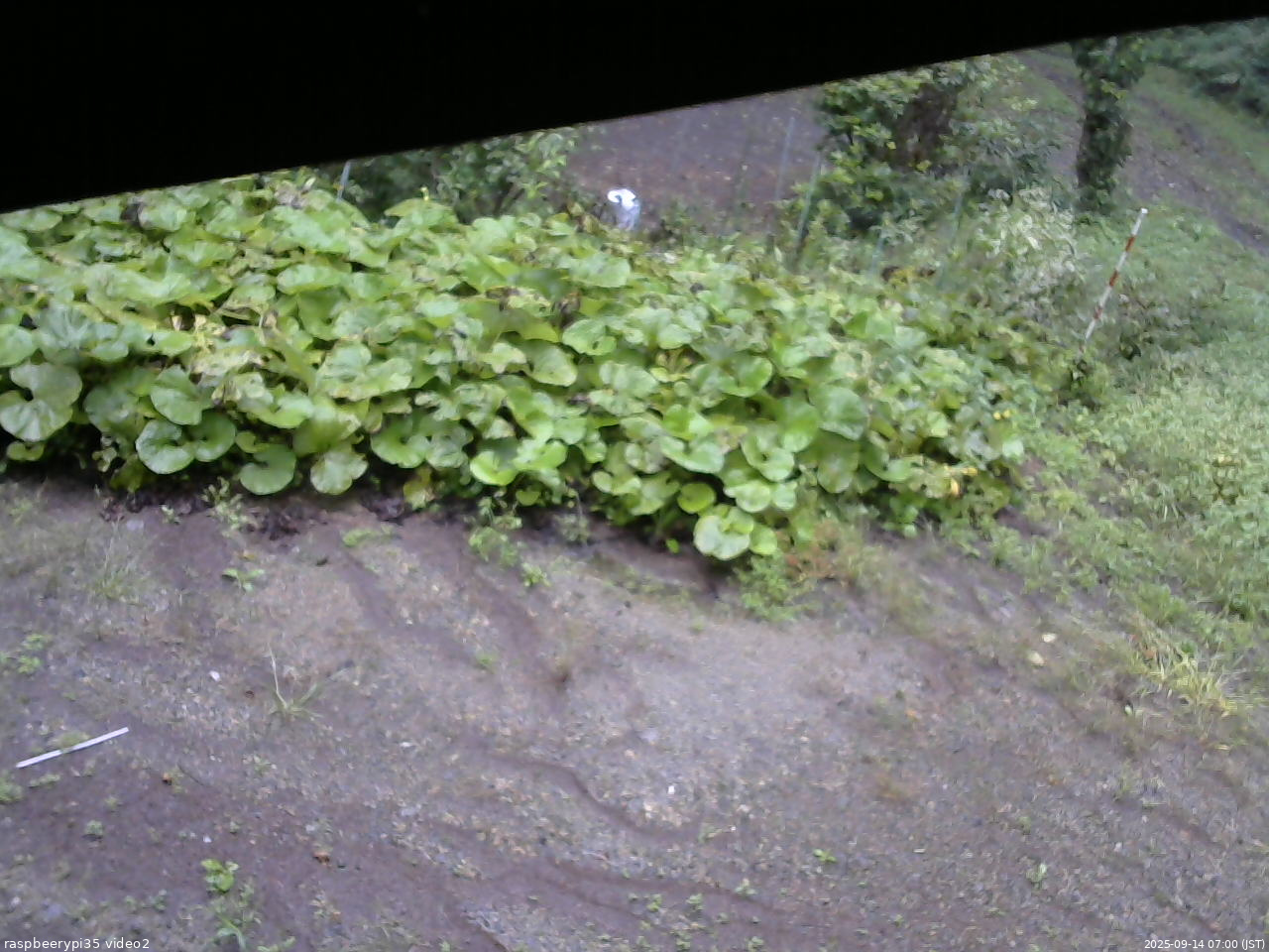 長野県菅平高原 ゆたか山荘 駐車場 2025/09/14 07:00