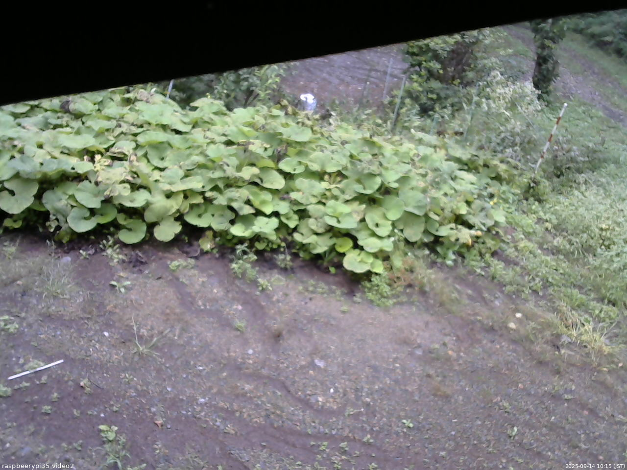 長野県菅平高原 ゆたか山荘 駐車場 2025/09/14 10:15