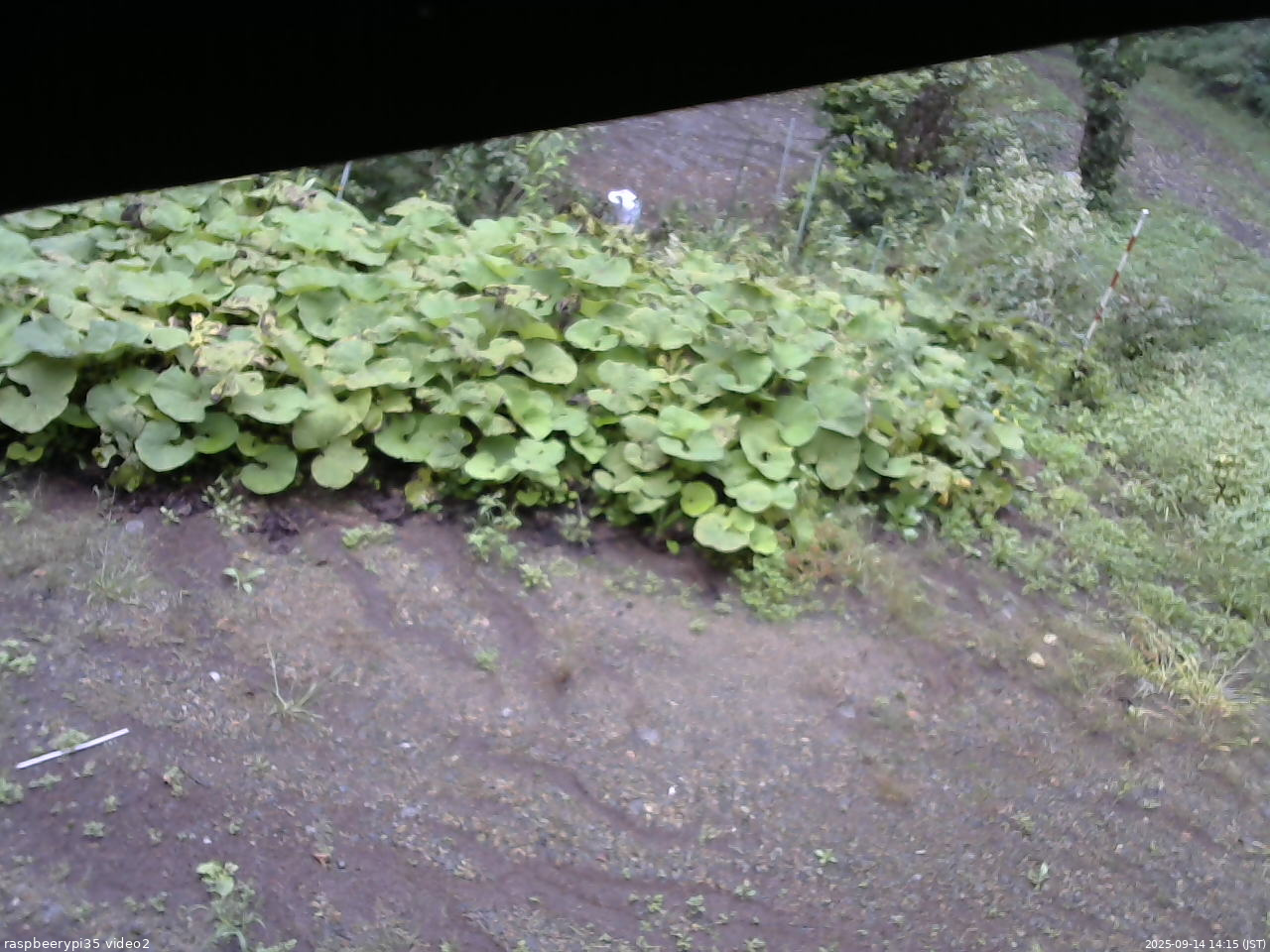 長野県菅平高原 ゆたか山荘 駐車場 2025/09/14 14:15