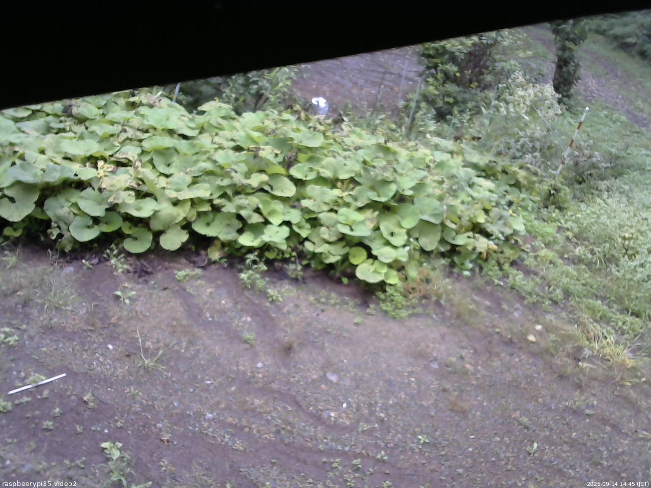 長野県菅平高原 ゆたか山荘 駐車場 2025/09/14 14:45