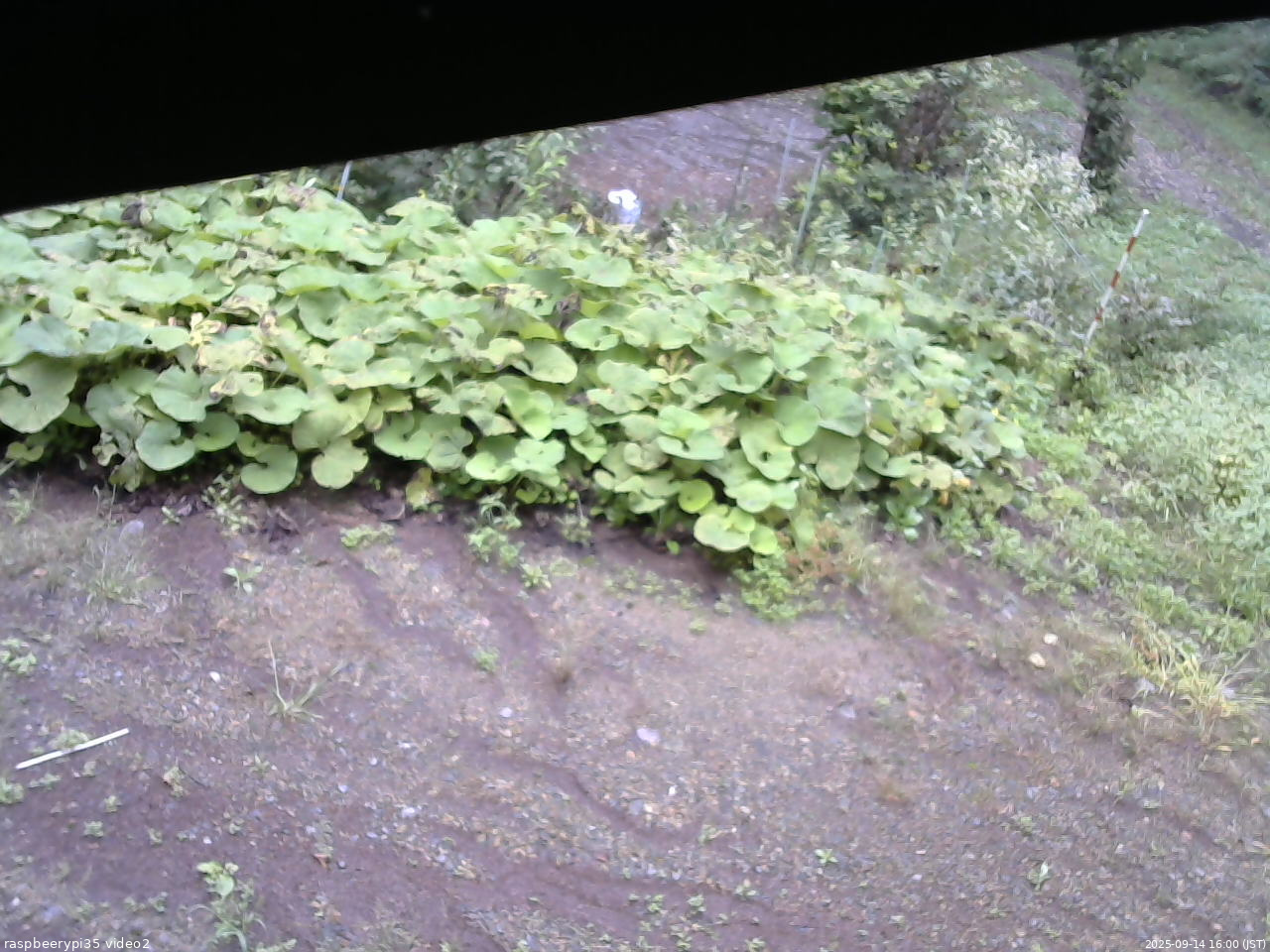 長野県菅平高原 ゆたか山荘 駐車場 2025/09/14 16:00