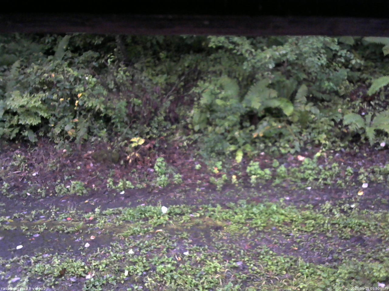 長野県菅平高原 ゆたか山荘 南側 2025/09/15 05:30