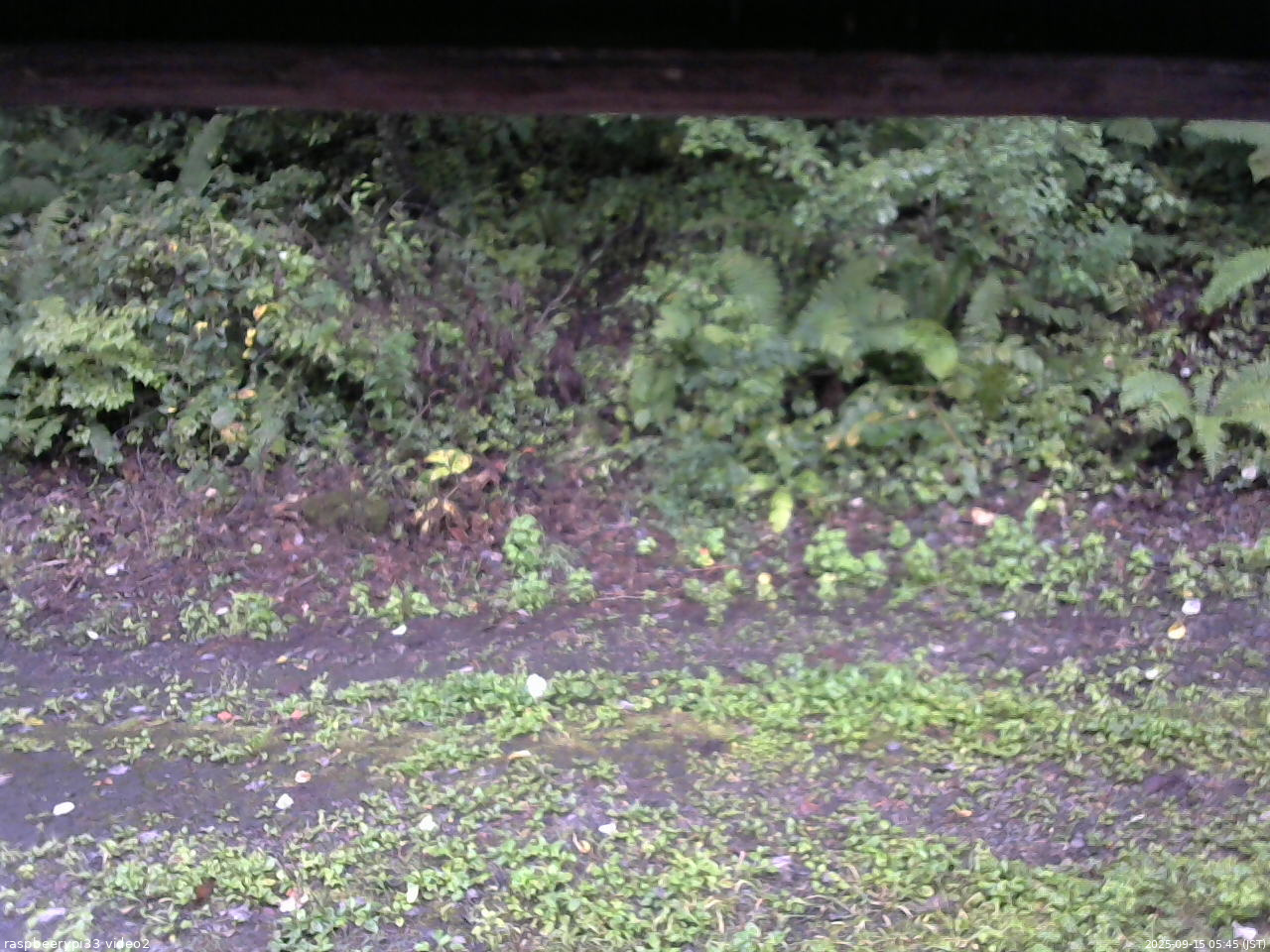 長野県菅平高原 ゆたか山荘 南側 2025/09/15 05:45