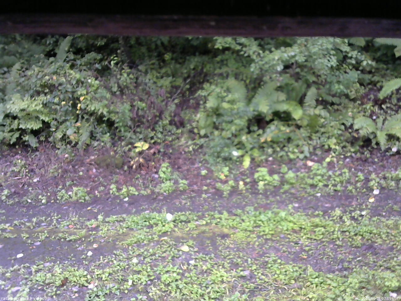 長野県菅平高原 ゆたか山荘 南側 2025/09/15 07:15