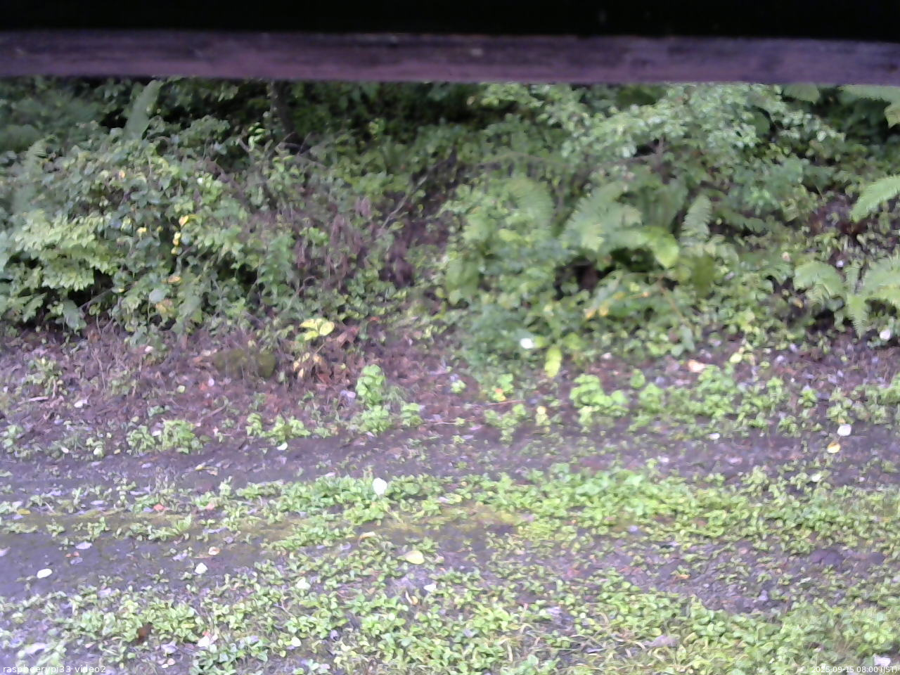 長野県菅平高原 ゆたか山荘 南側 2025/09/15 08:00