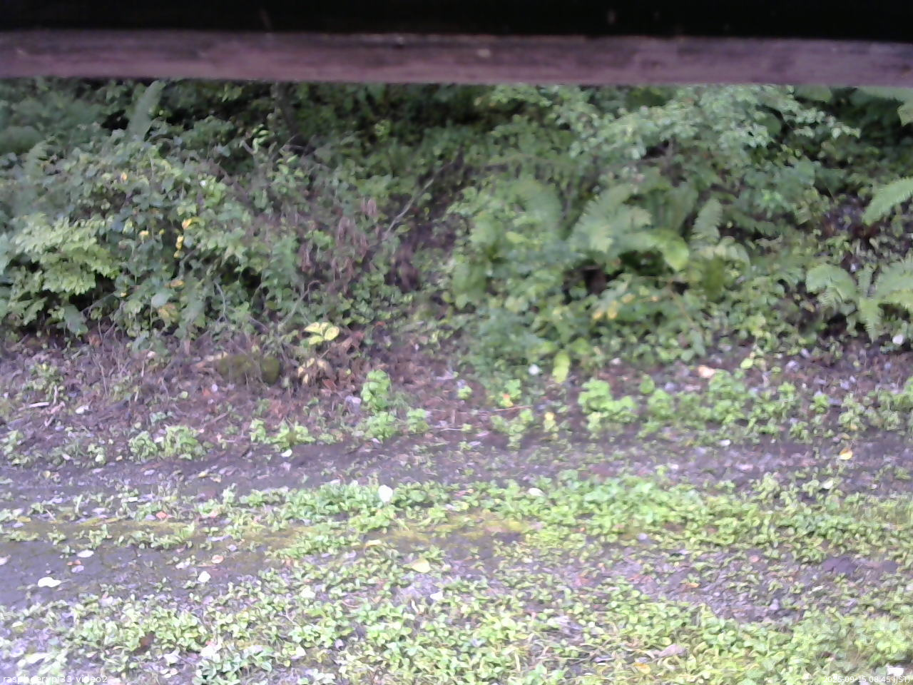 長野県菅平高原 ゆたか山荘 南側 2025/09/15 08:45