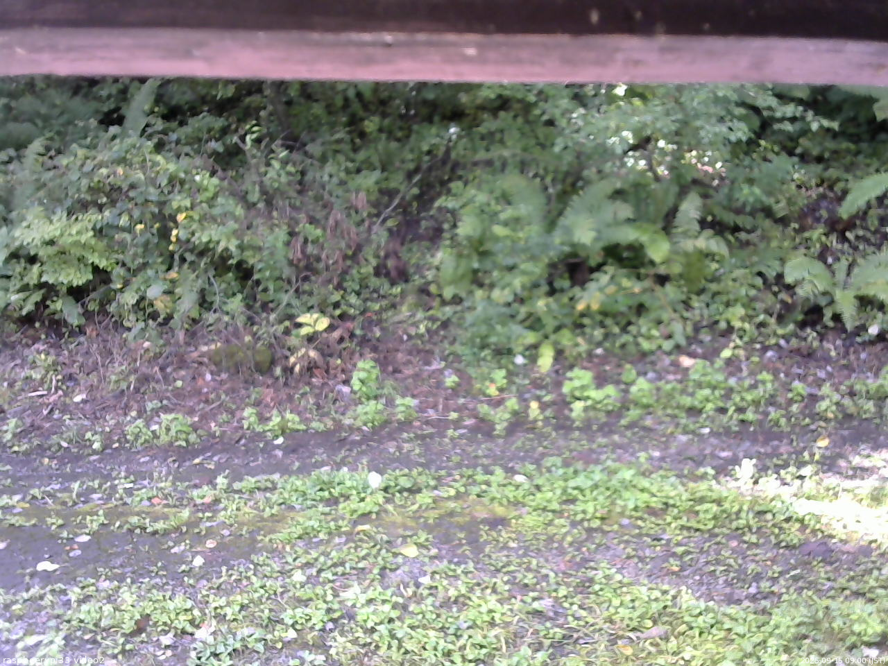 長野県菅平高原 ゆたか山荘 南側 2025/09/15 09:00
