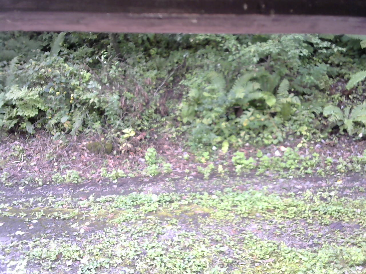 長野県菅平高原 ゆたか山荘 南側 2025/09/15 10:00