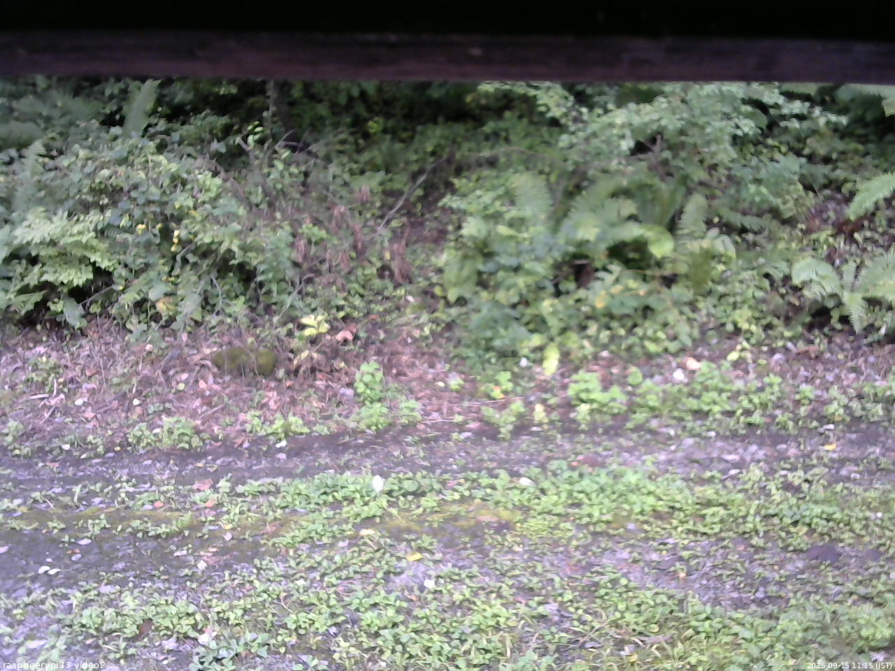 長野県菅平高原 ゆたか山荘 南側 2025/09/15 11:15