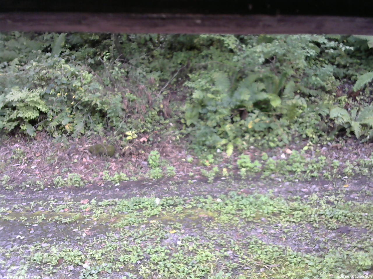 長野県菅平高原 ゆたか山荘 南側 2025/09/15 12:00