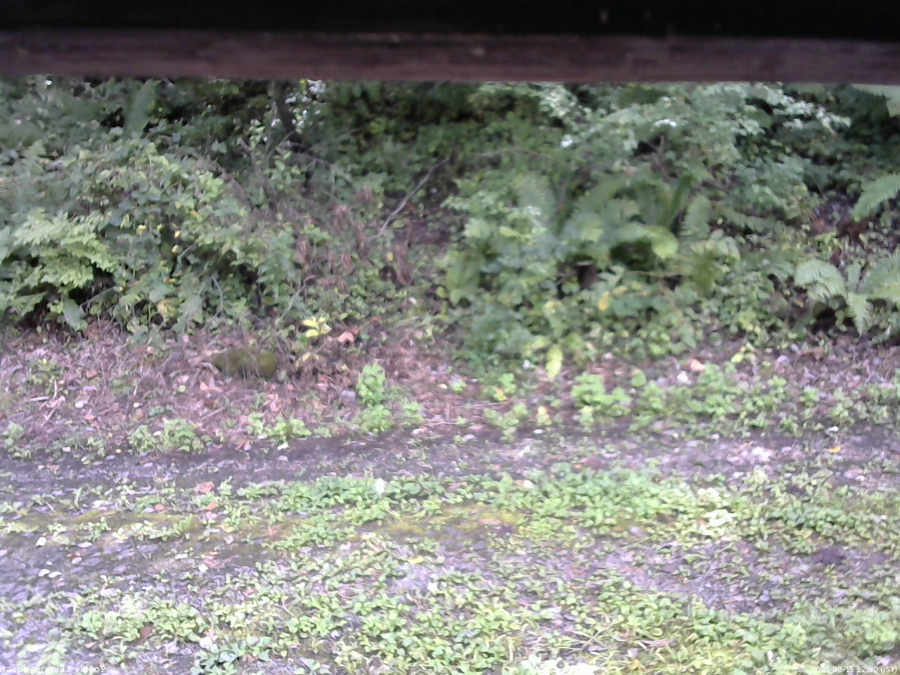長野県菅平高原 ゆたか山荘 南側 2025/09/15 12:30