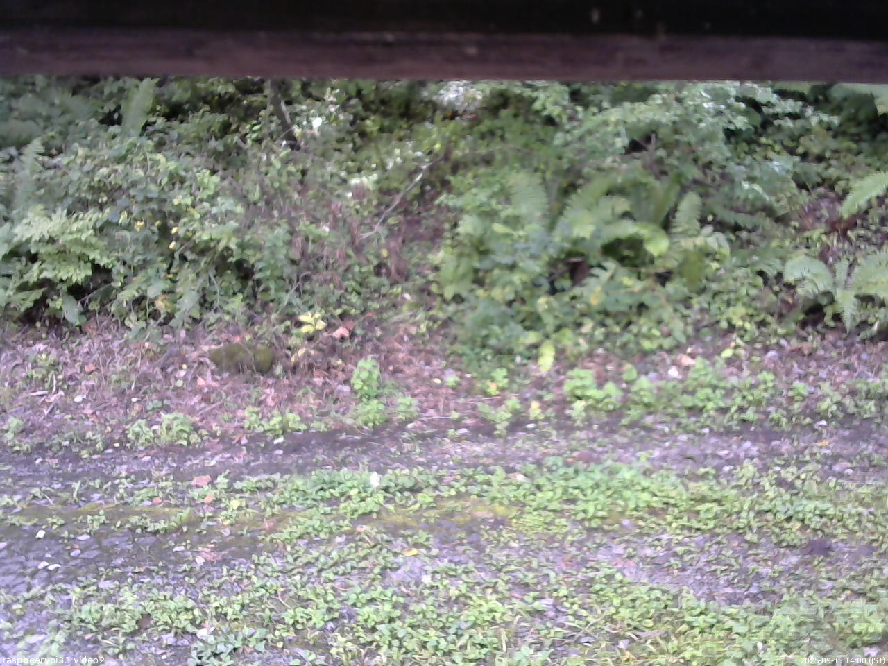 長野県菅平高原 ゆたか山荘 南側 2025/09/15 14:00
