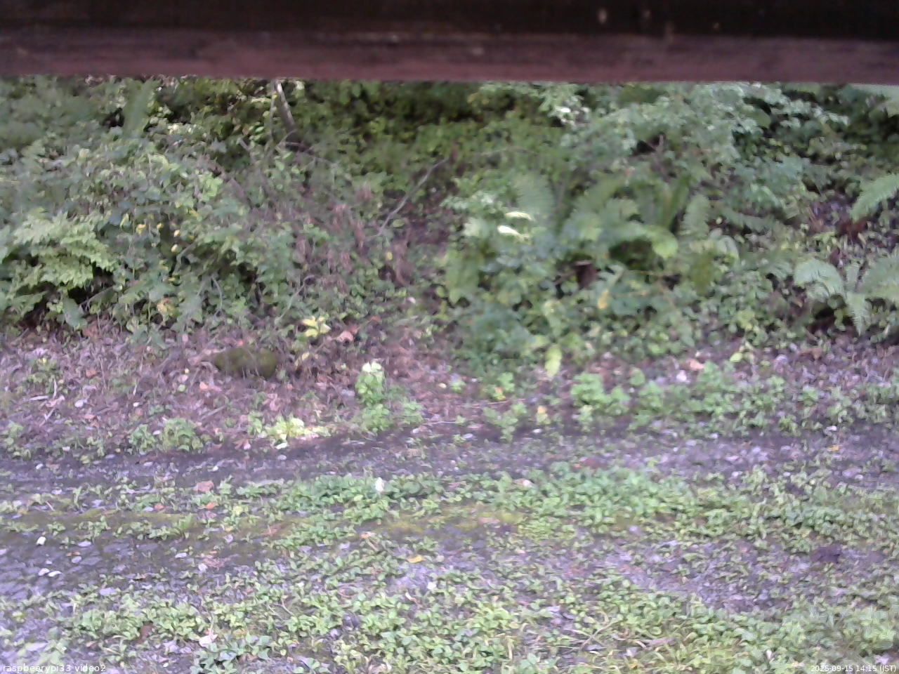 長野県菅平高原 ゆたか山荘 南側 2025/09/15 14:15