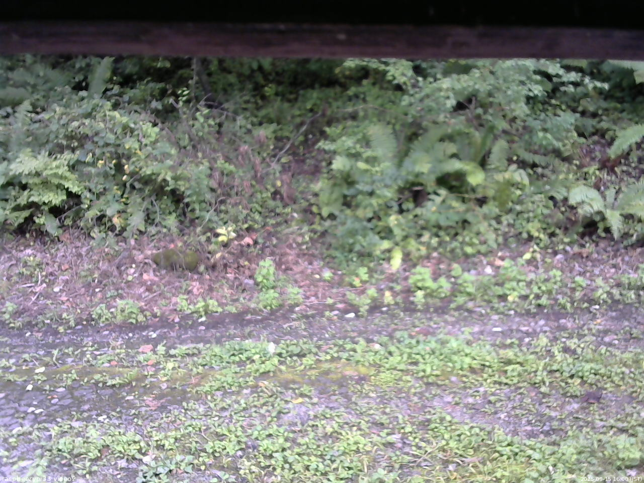 長野県菅平高原 ゆたか山荘 南側 2025/09/15 16:00