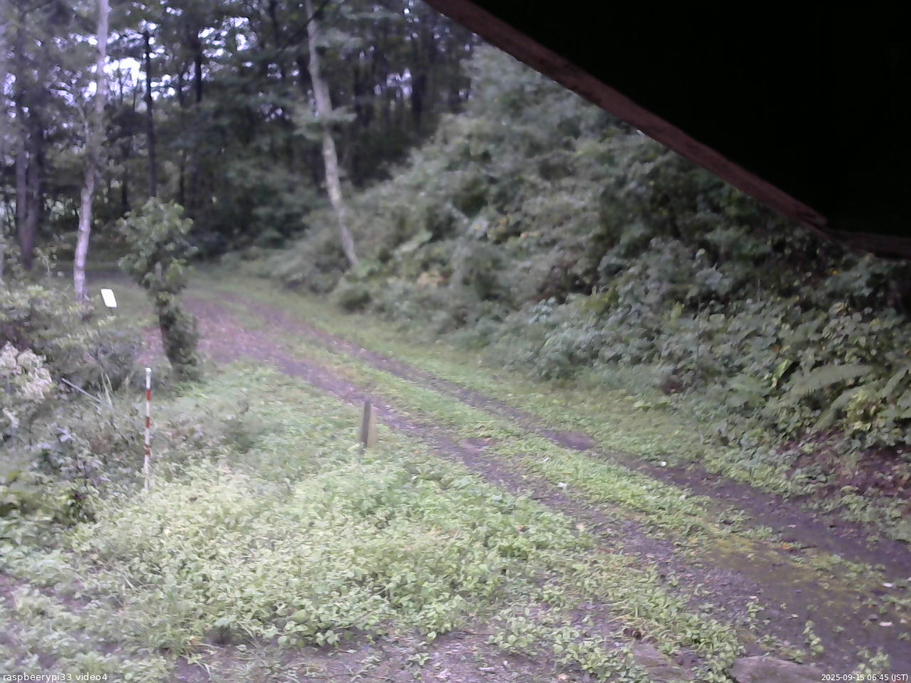 長野県菅平高原 ゆたか山荘 東側(坂下) 2025/09/15 06:45