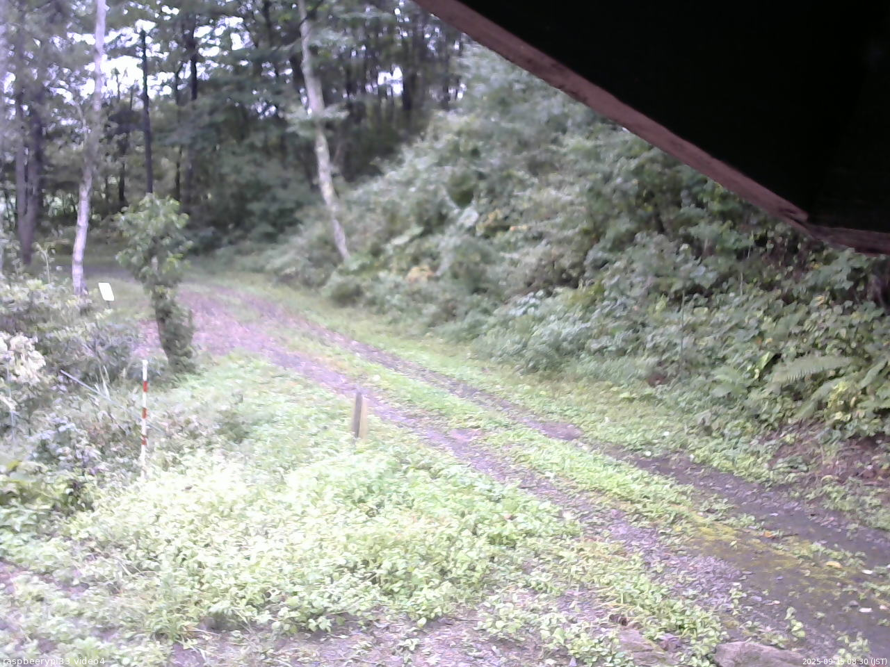 長野県菅平高原 ゆたか山荘 東側(坂下) 2025/09/15 08:30